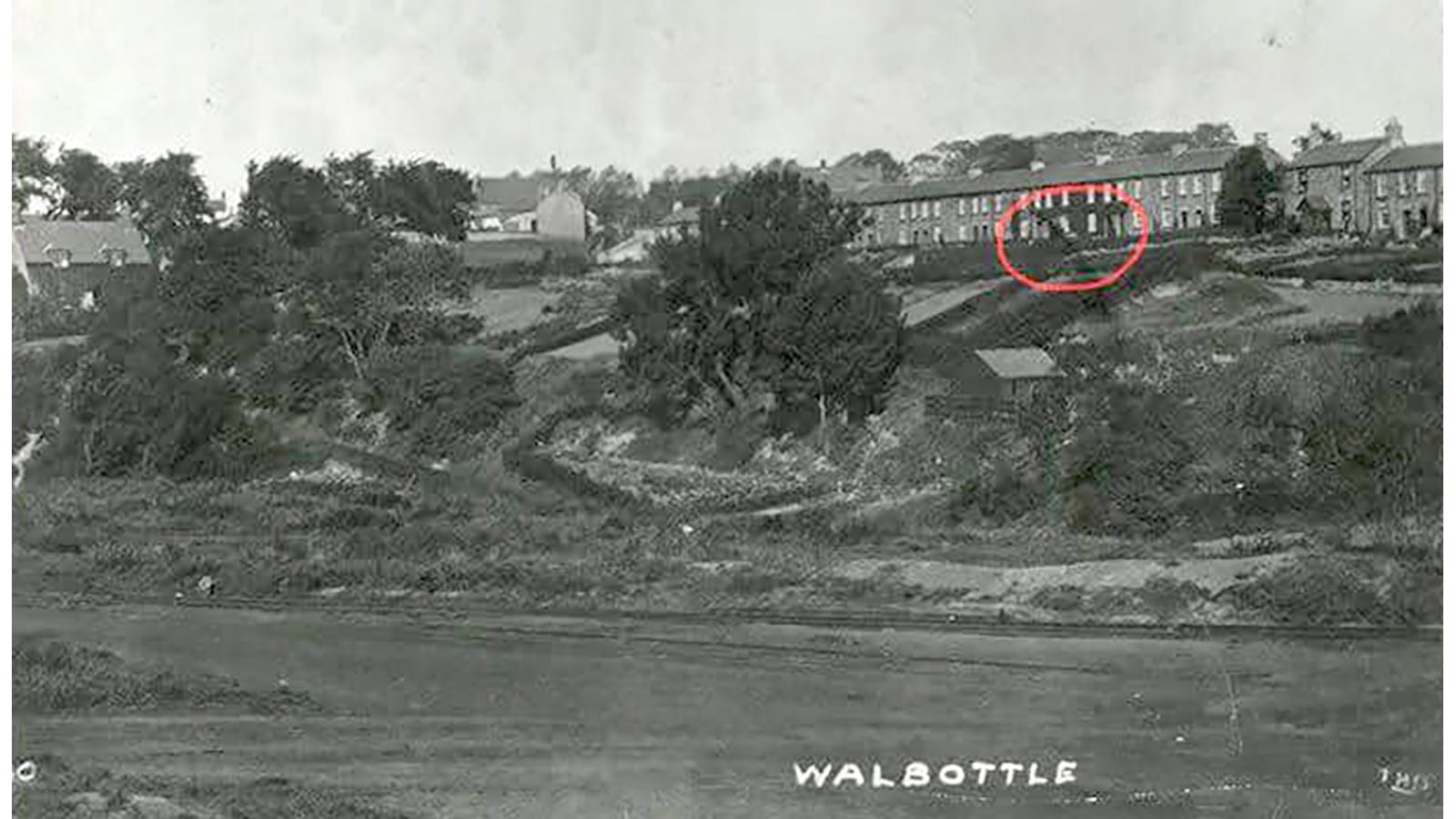 image of the allotments on Walbottle Road - 1920's