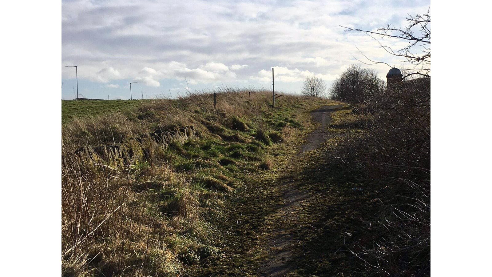 images of the Old Road from North Walbottle to Walbottle Village, R. Parnell, 2008